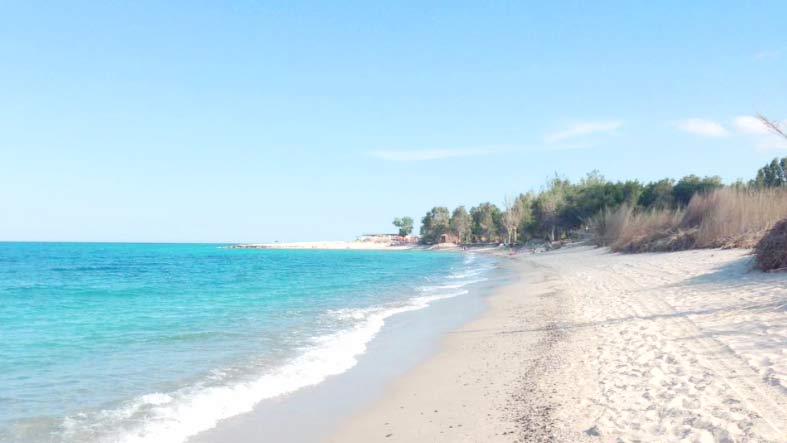 Dream Holidays in Calabria: Discover the Ionian Coast 1 isca-beach
